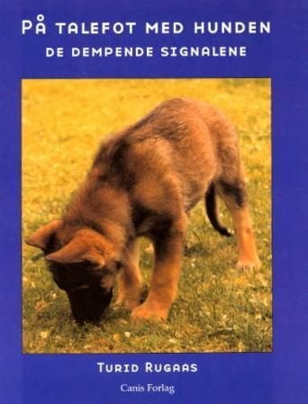 På talefot med hunden