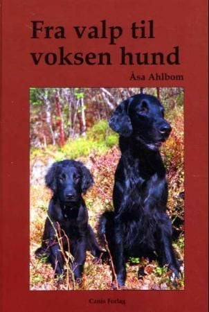 Fra valp til voksen hund