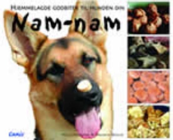 Nam-nam
