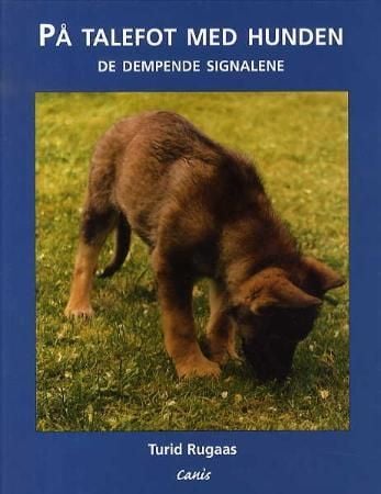 På talefot med hunden