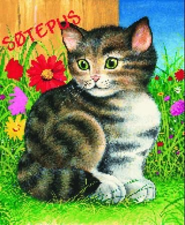Søtepus