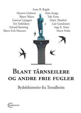 Blant tårnseilere og andre frie fugler
