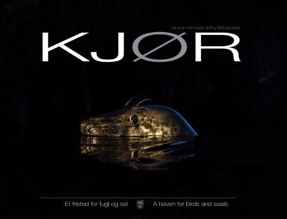 Kjør