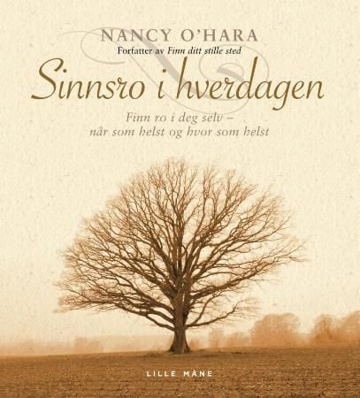 Sinnsro i hverdagen