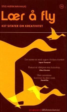 Lær å fly