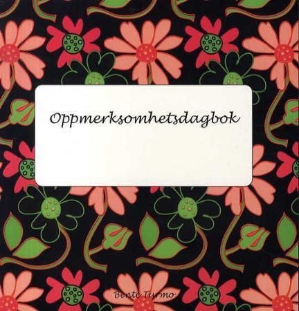 Oppmerksomhetsdagbok