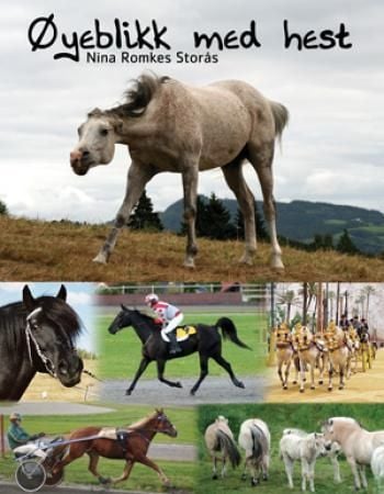 Øyeblikk med hest