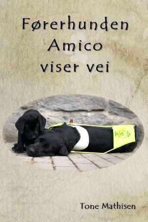 Førerhunden Amico viser vei