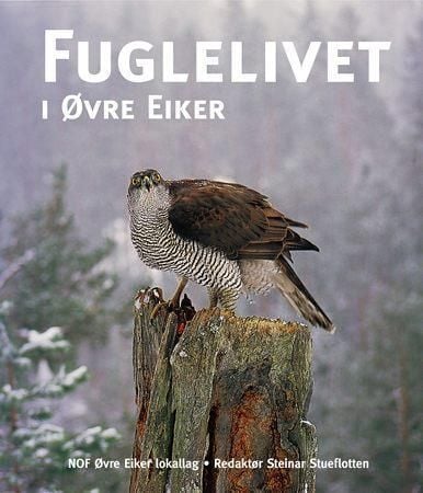 Fuglelivet i Øvre Eiker