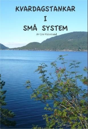 Kvardagstankar i små system