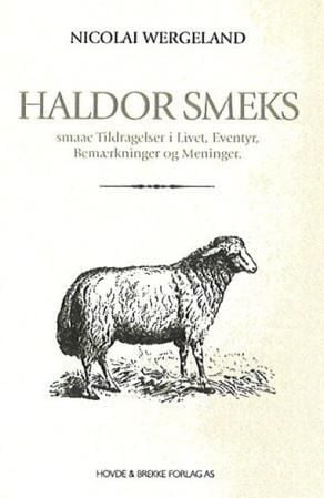 Haldor Smeks smaae Tildragelser i Livet, Eventyr, Bemærkninger og Meninger