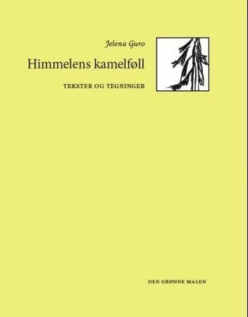 Himmelens kamelføll