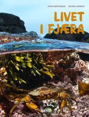 Livet i fjæra