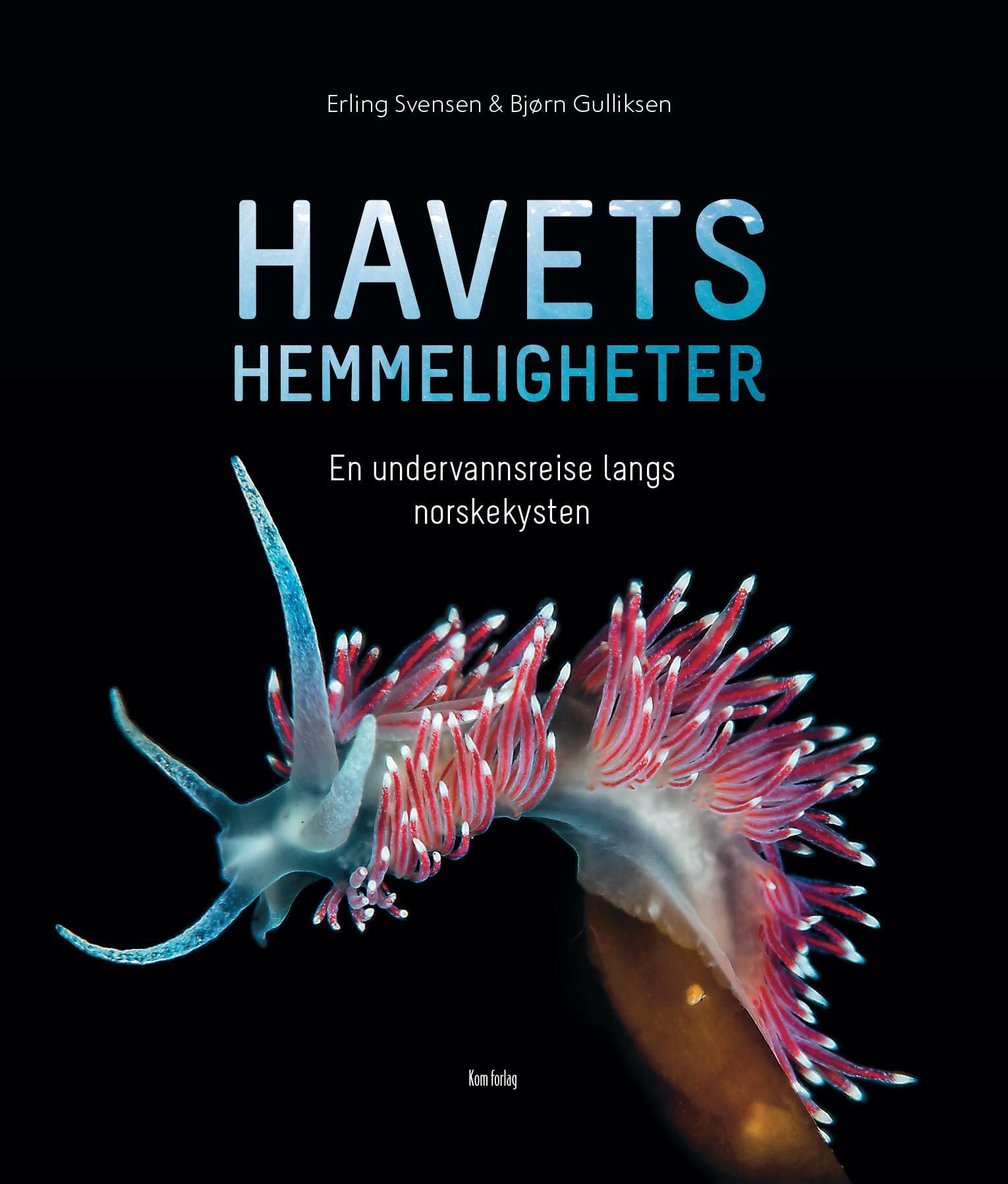 Havets hemmeligheter