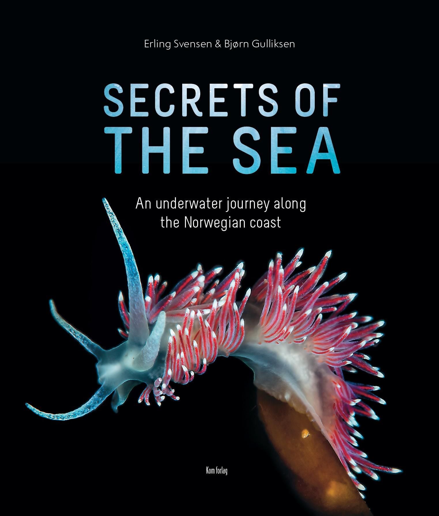 Secrets of the sea