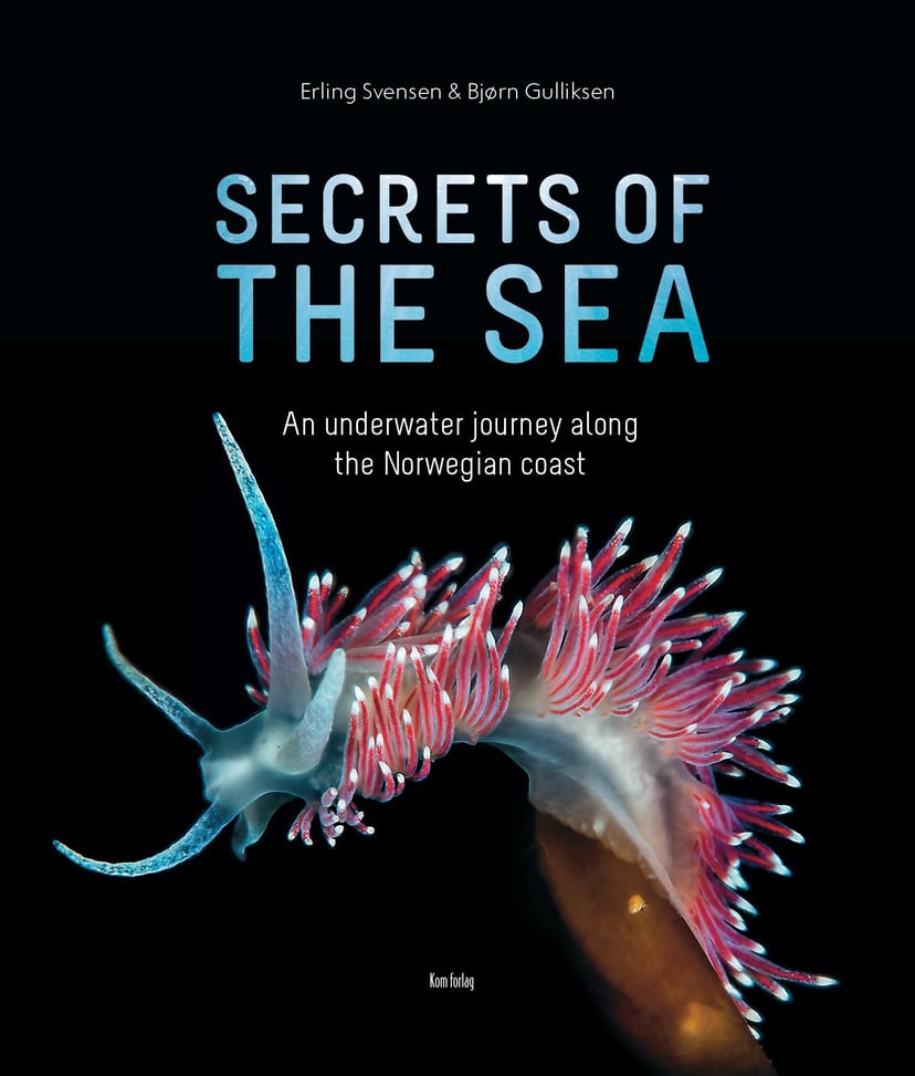 Secrets of the sea