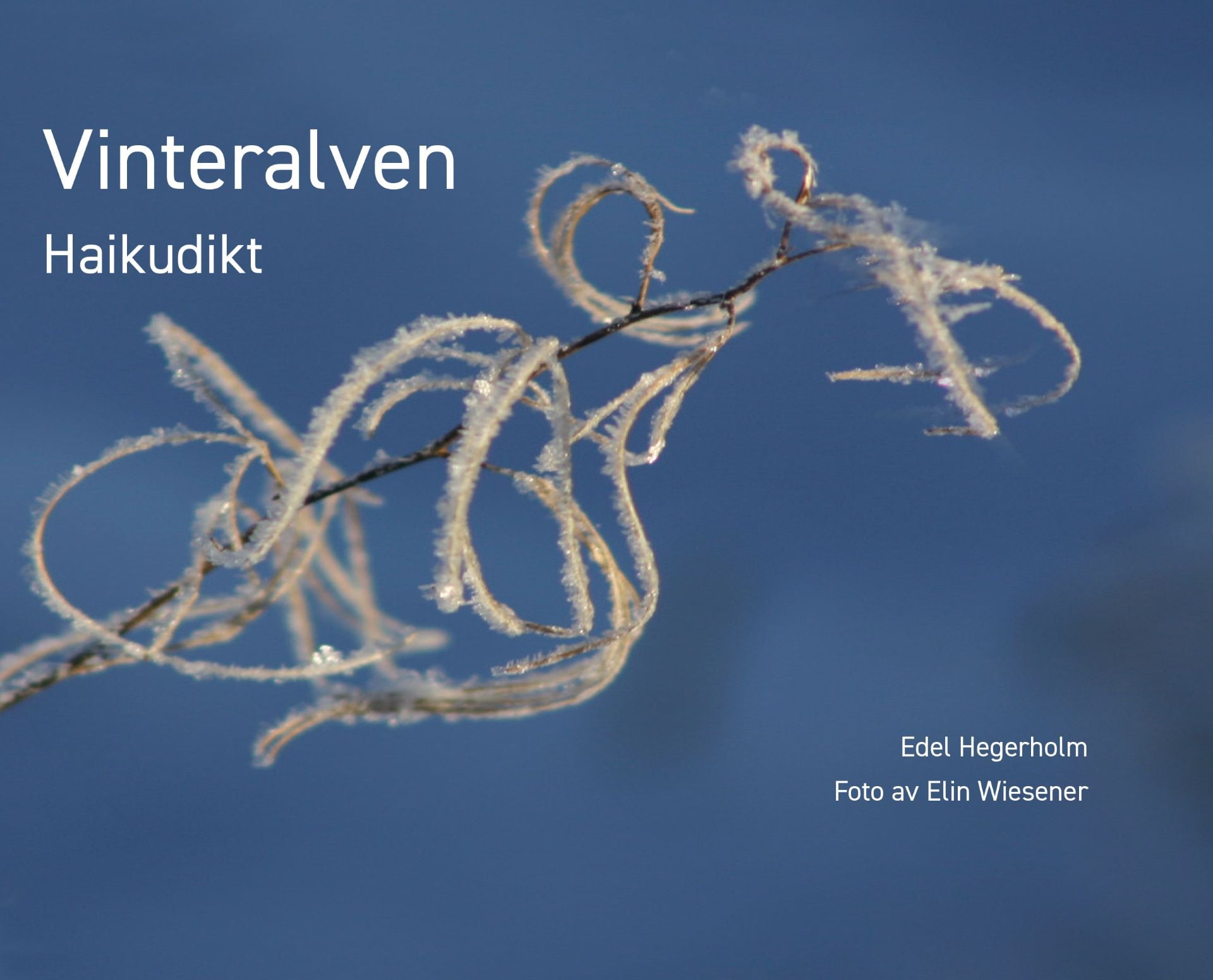 Vinteralven