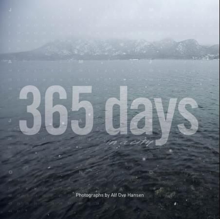365 days in a city