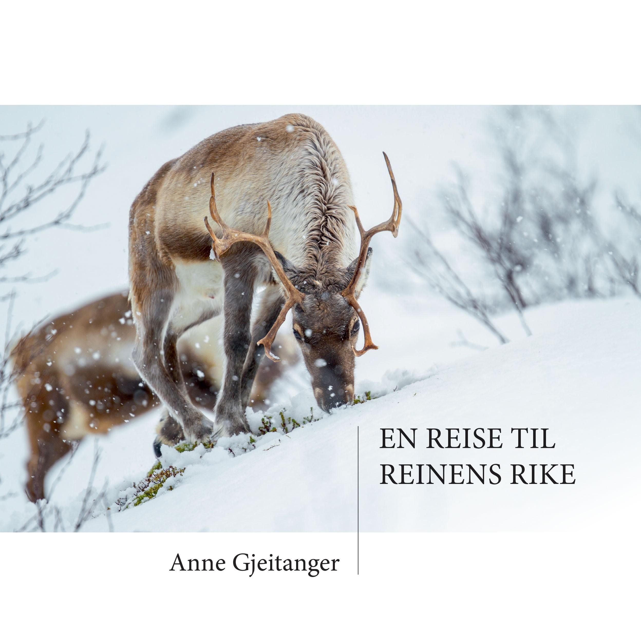 En reise til reinens rike