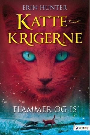 Flammer og is