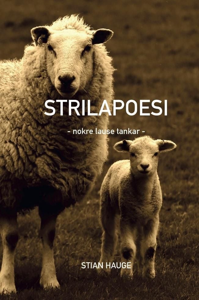 Strilapoesi