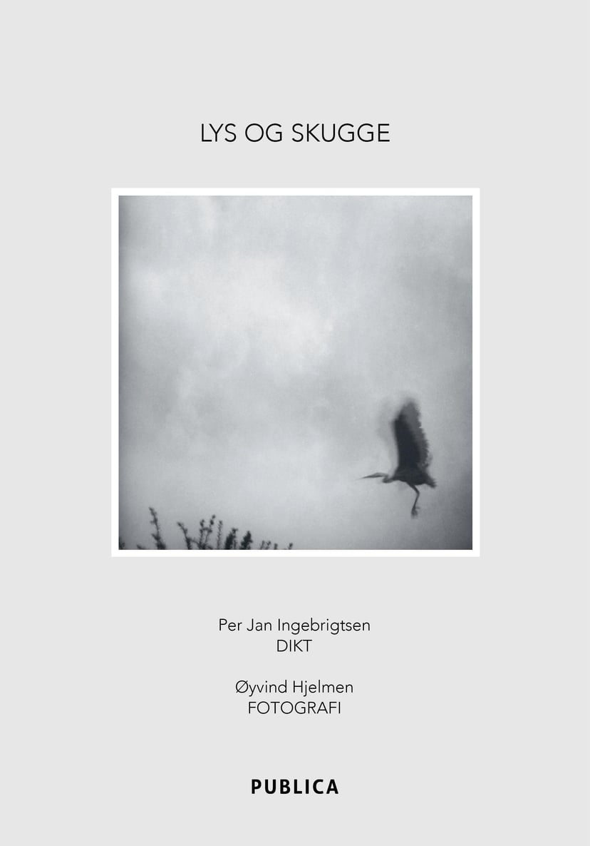 Lys og skugge