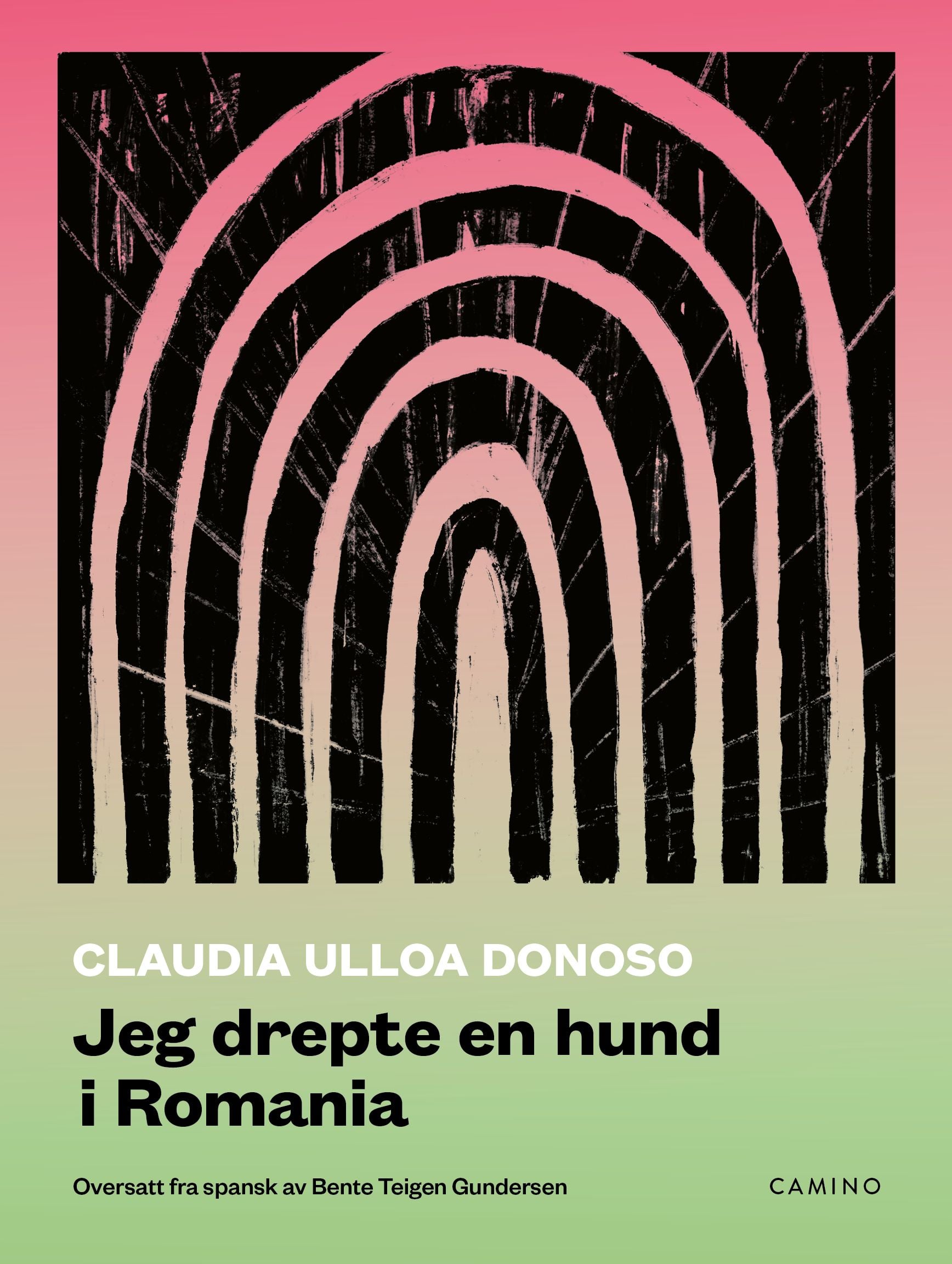 Jeg drepte en hund i Romania