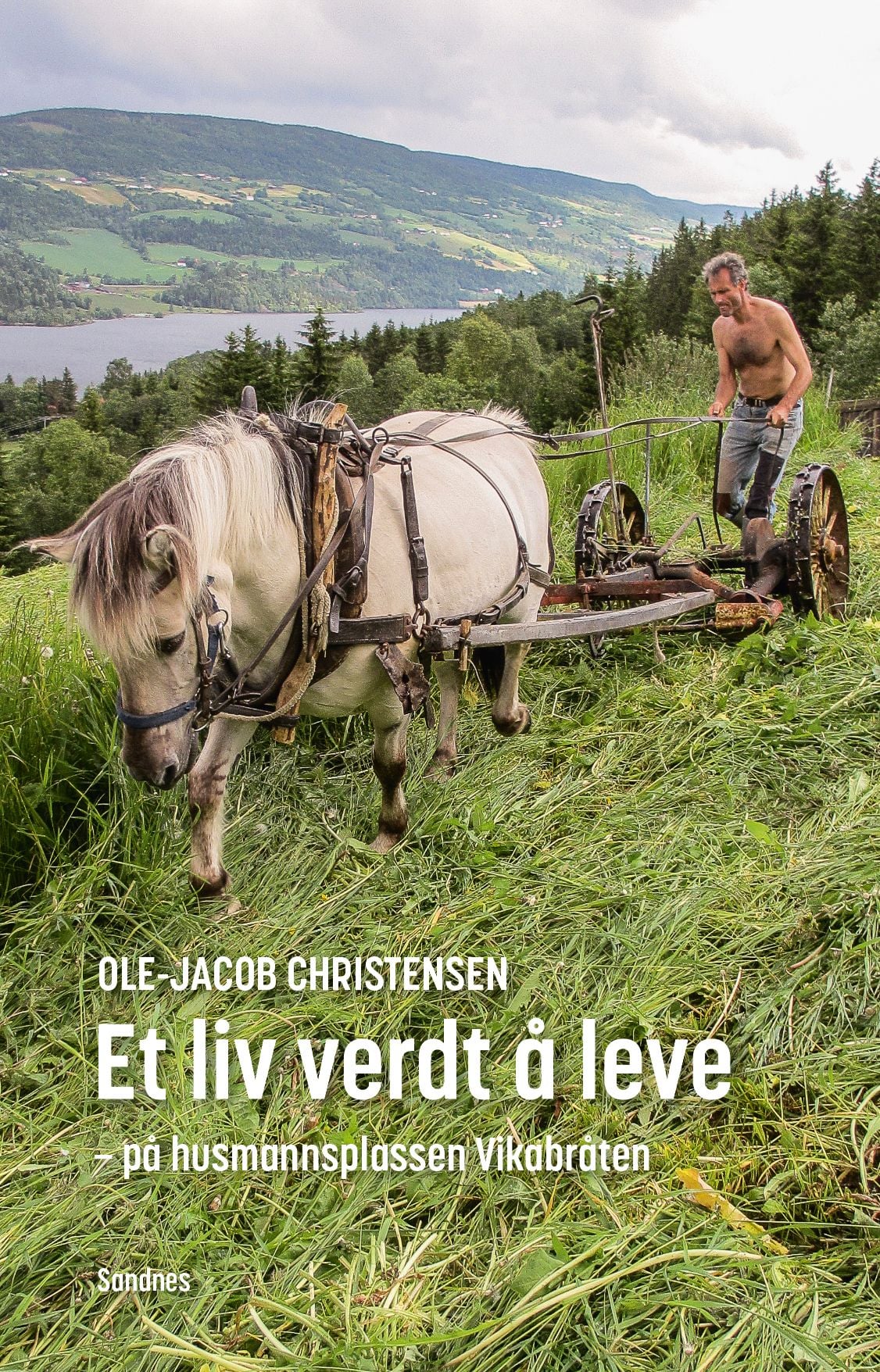 Et liv verdt å leve