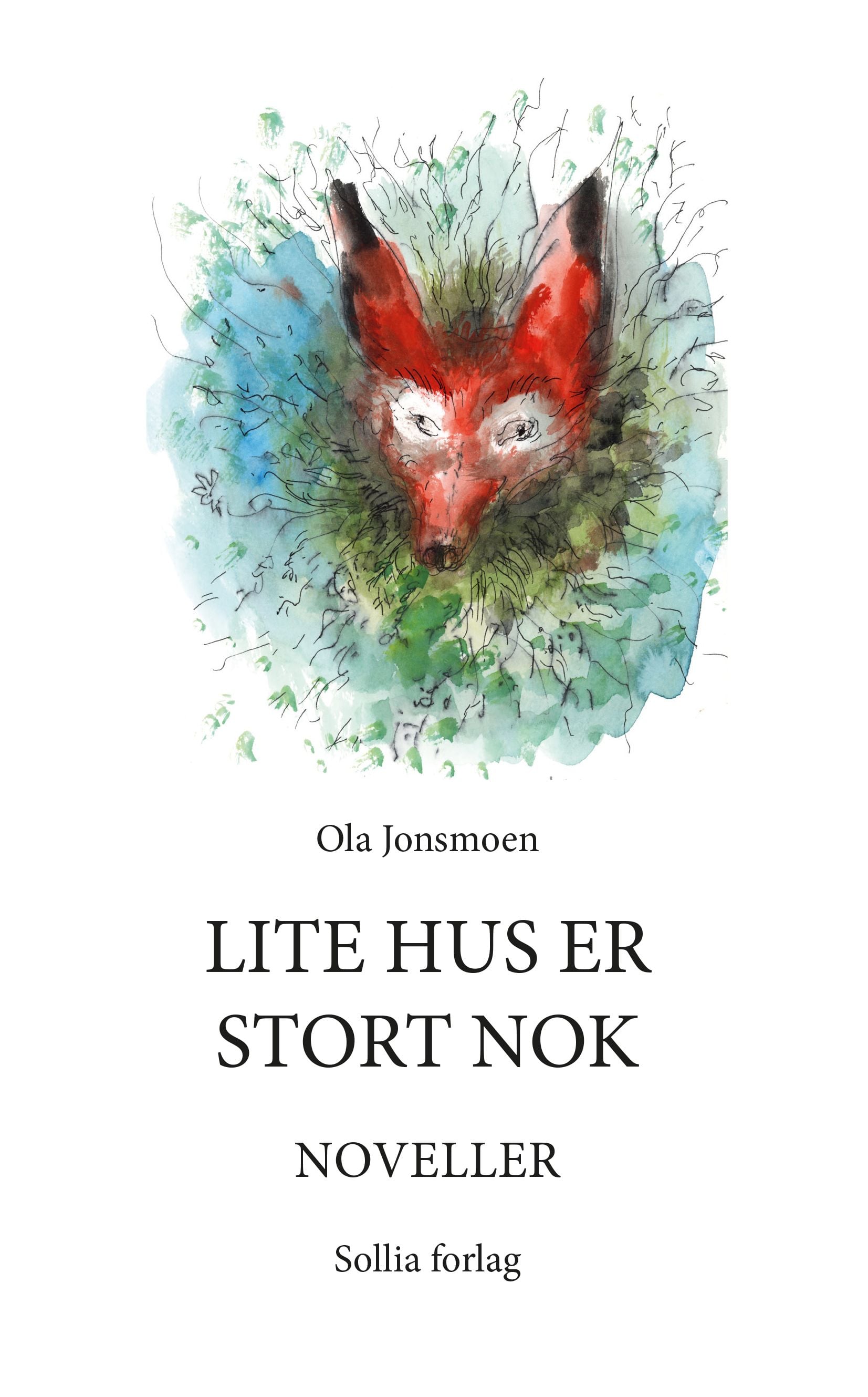 Lite hus er stort nok