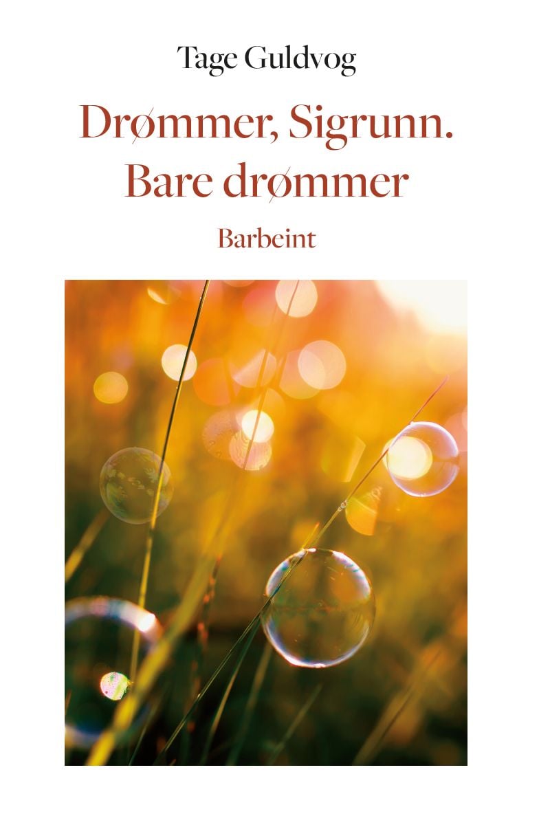 Drømmer, Sigrunn. Bare drømmer