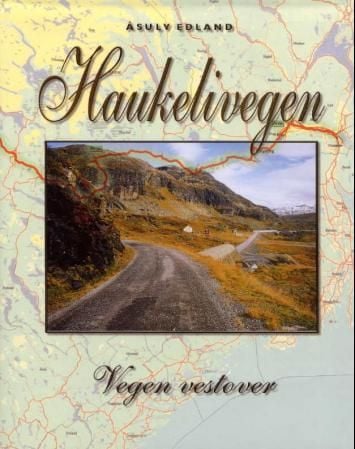 Haukelivegen