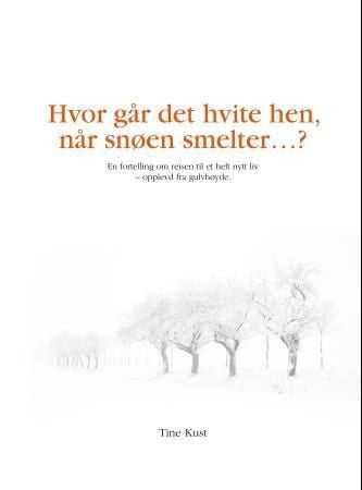 Hvor går det hvite hen, når snøen smelter?