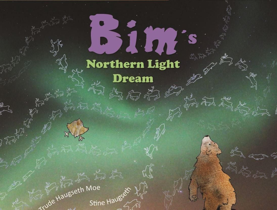 Bim's northern light dream