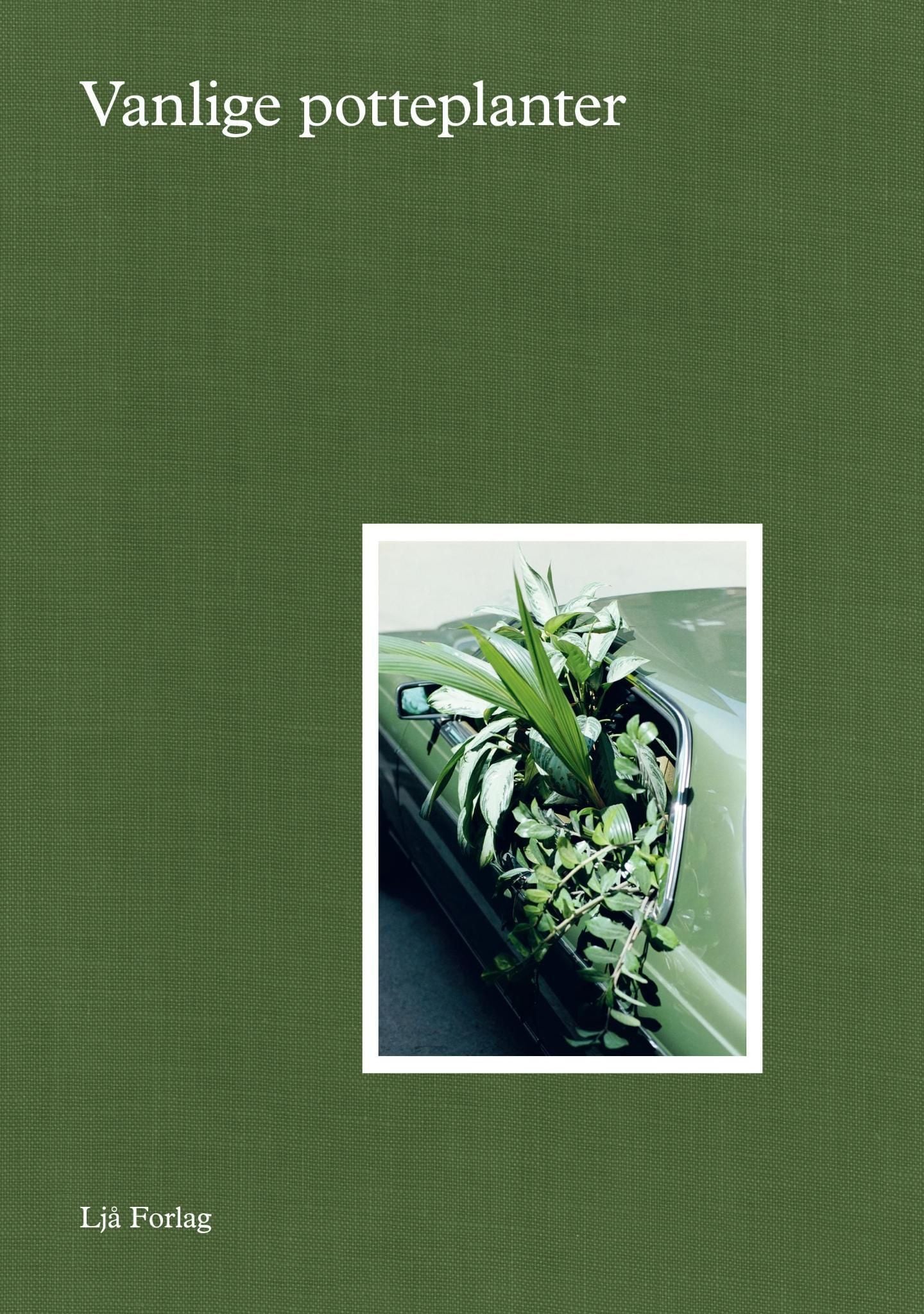 Vanlige potteplanter