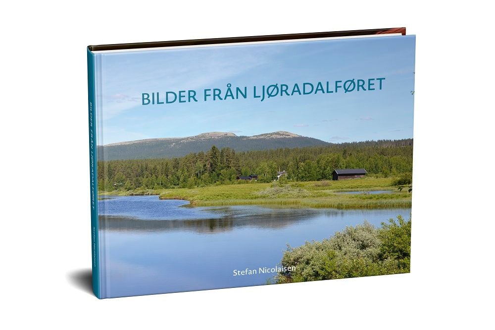 Bilder från Ljøradalføret