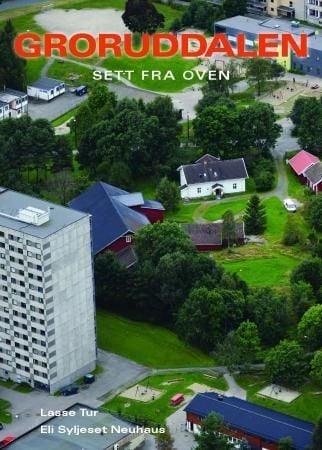 Groruddalen sett fra oven