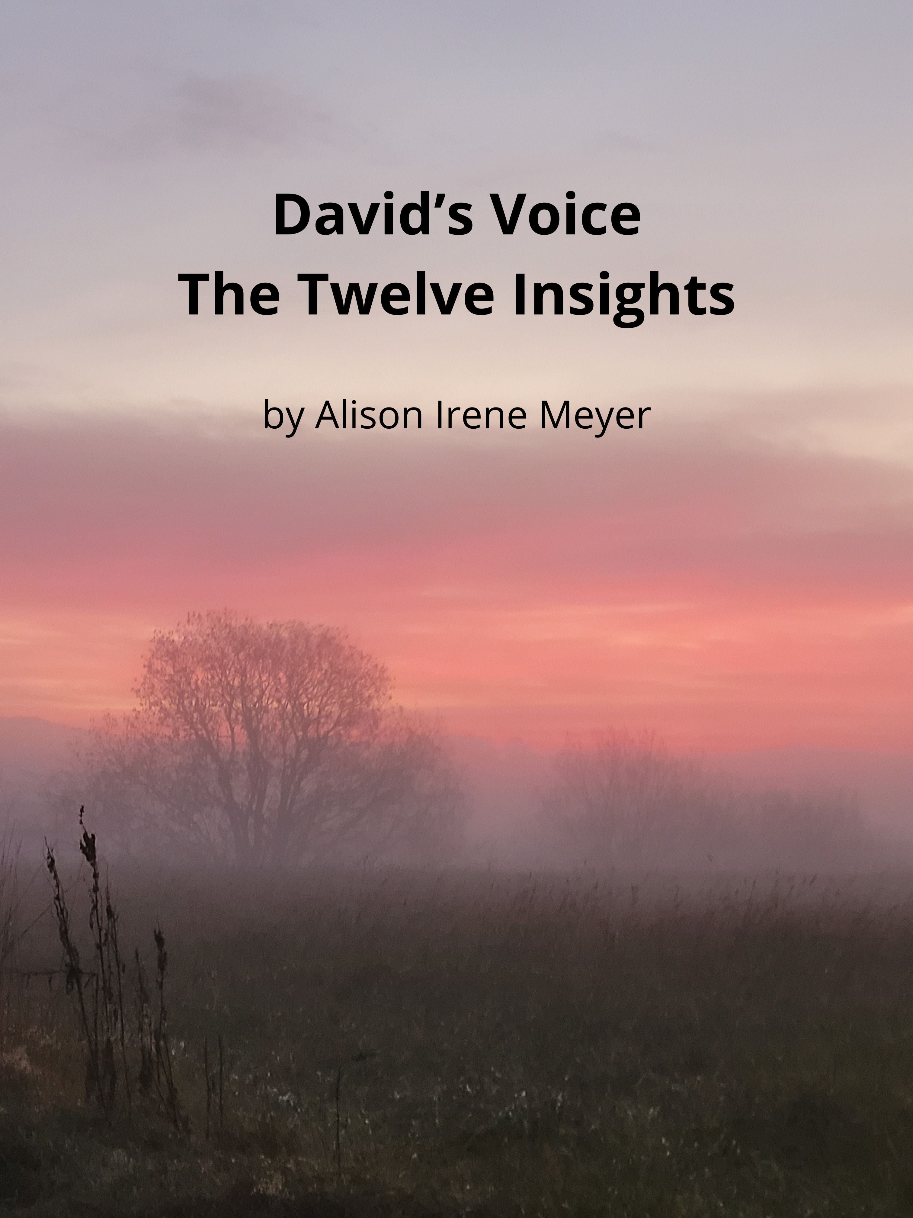 David's voice - the twelve insights