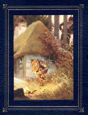 Grimm's fairy tales ; Andersen's fairy tales