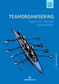 Teamorganisering