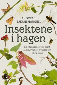 Insektene i hagen