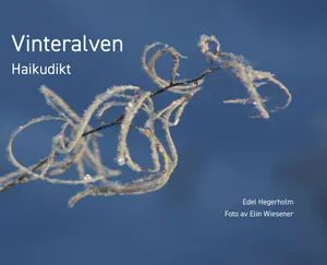 Vinteralven